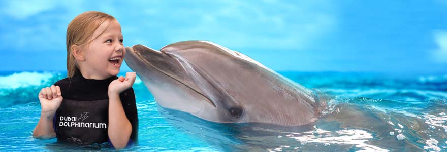 The Exciting Dolphin and Seal Show – Entry Pass - Kid Playing with Dolphin