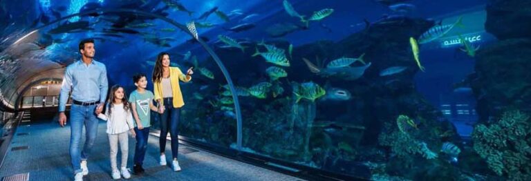 Dubai Aquarium And Underwater Zoo Tickets - Family Visting