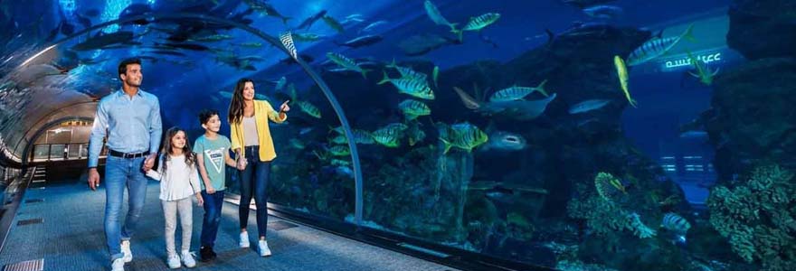 Dubai Aquarium And Underwater Zoo Tickets - Family Visting